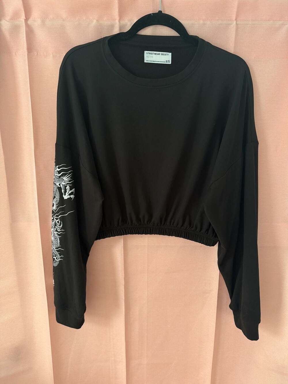 Streetwear Society Active Dragon Crop Sweatshirt
